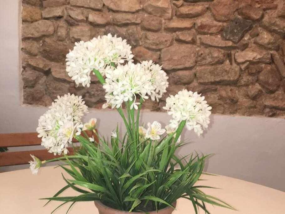 Apartament De La Susanna Old Town Mezzanine Тарагона Екстериор снимка